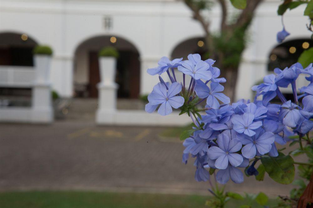 Tamarind Hill Hotel Galle Bagian luar foto